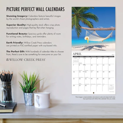 Just Toy & Miniature Poodles 2024 12 X 12 Wall Calendar
