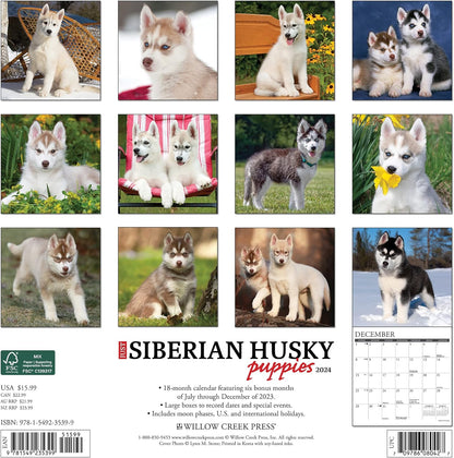 Just Siberian Husky Puppies 2024 12 X 12 Wall Calendar