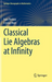 Classical Lie Algebras at Infinity