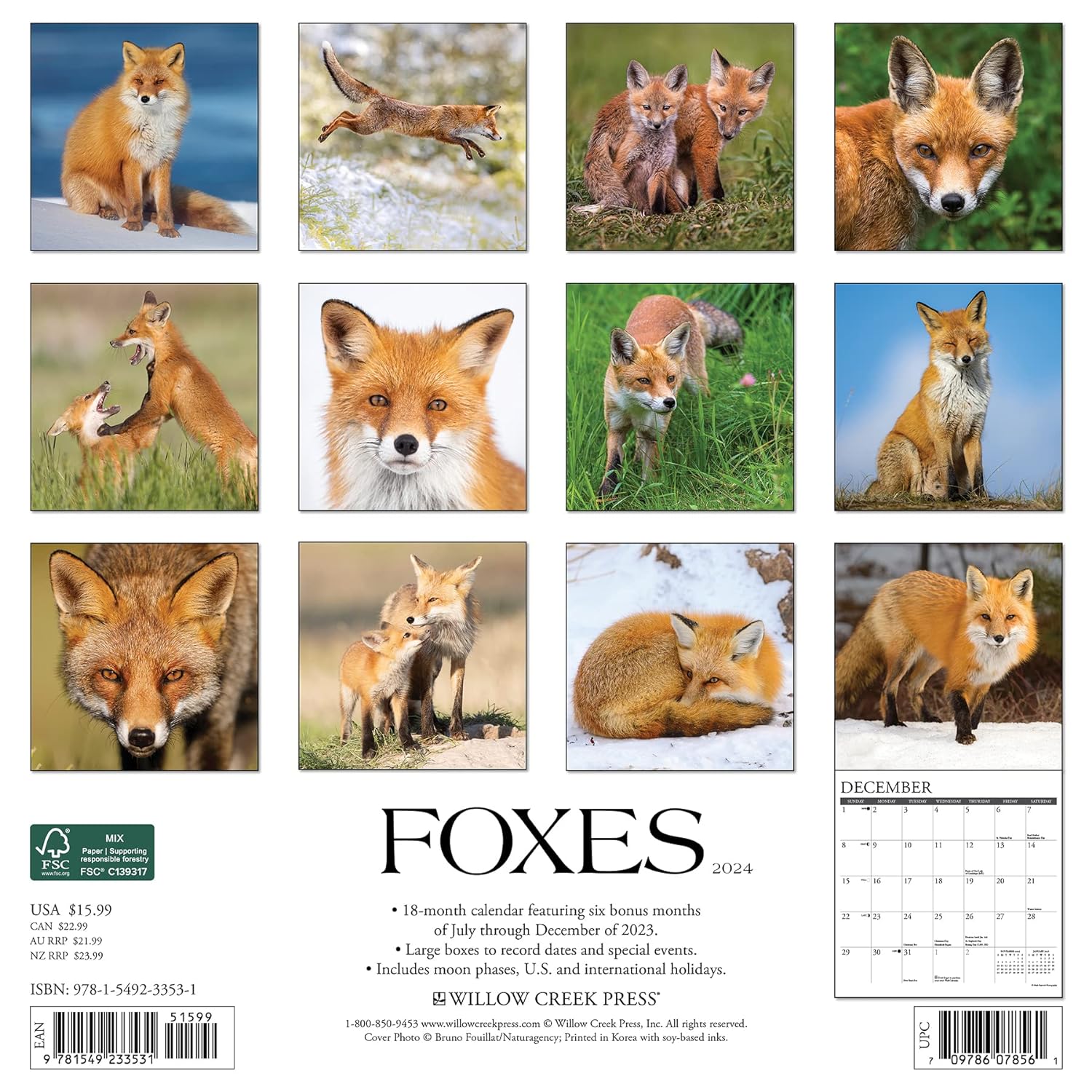 Foxes 2024 12 X 12 Wall Calendar
