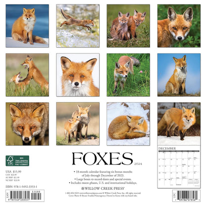 Foxes 2024 12 X 12 Wall Calendar