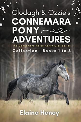 Clodagh & Ozzie's Connemara Pony Adventures