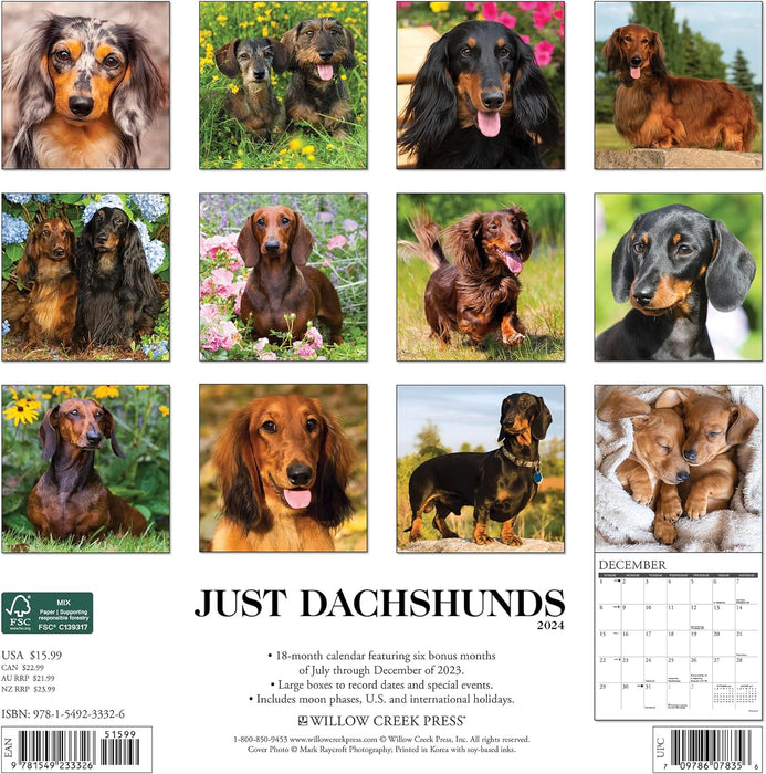 Just Dachshunds 2024 12 X 12 Wall Calendar