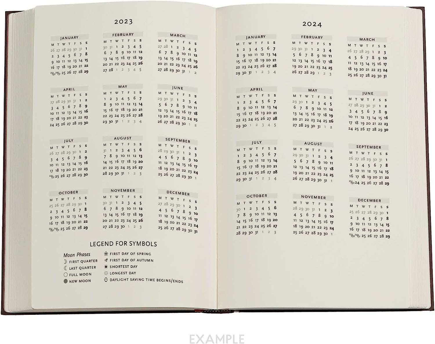 Humming Dragon (Android Jones Collection) Maxi 18-month Dayplanner 2024