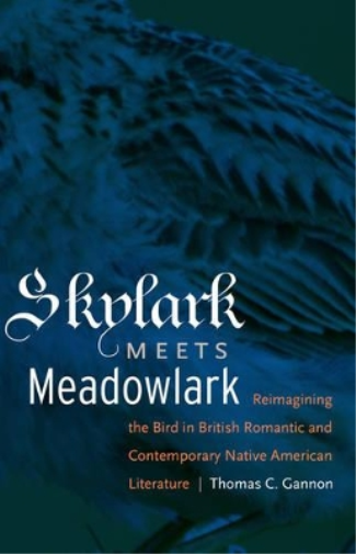 Skylark Meets Meadowlark