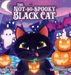 The Not-So-Spooky Black Cat