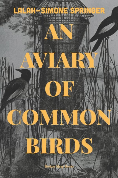 An Aviary of Common Birds