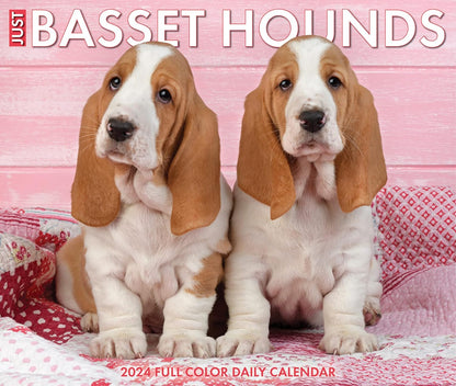 Basset Hounds 2024 6.2 X 5.4 Box Calendar