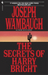 The Secrets of Harry Bright