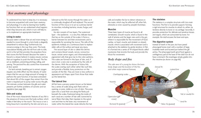 Mini Encyclopedia Keeping Koi