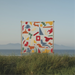 AN EVER CHANGING VIEW (INDIES EXCLUSIVE CLEAR VINYL)