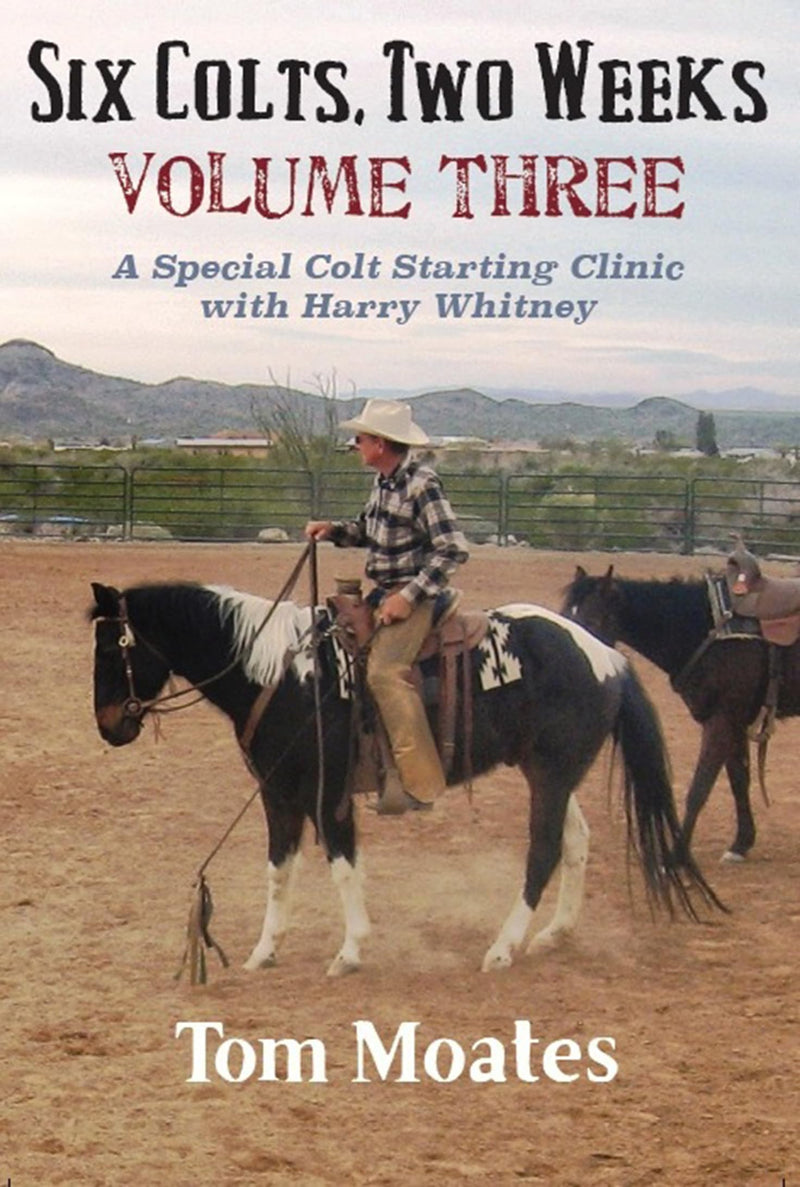 Six Colts, Two Weeks, Volume Three