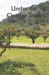 Under the Orange Trees