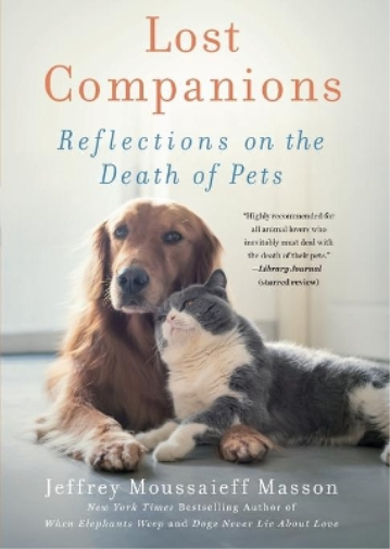 Lost Companions