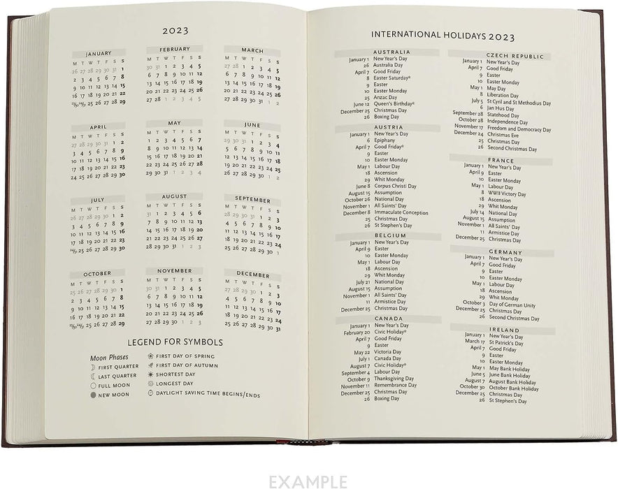 Destiny (Voltaire’s Book of Fate) Maxi Vertical Dayplanner 2023 (Elastic Band Closure)