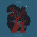 Gift from the Trees