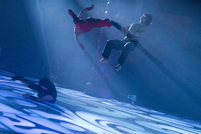 Man of Tai Chi