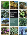 The Timber Press Guide to Succulent Plants of the World