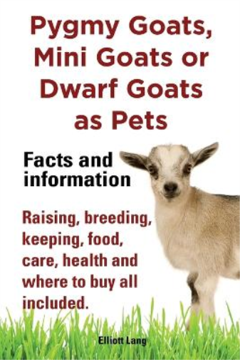 Pygmy Goats as Pets. Pygmy Goats, Mini Goats or Dwarf Goats