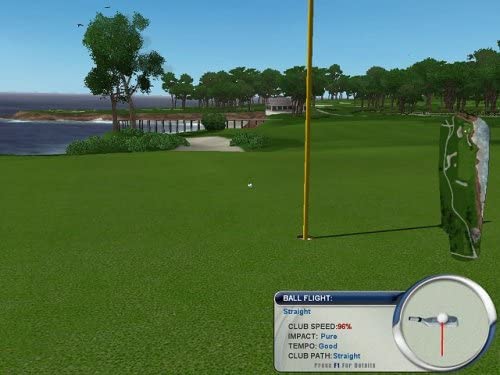 Tiger Woods PGA Tour 2004: PC DVD ROM, FR