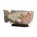Belssia Fish, Wood, brown, green and black, 65 x 32 x 16 cm