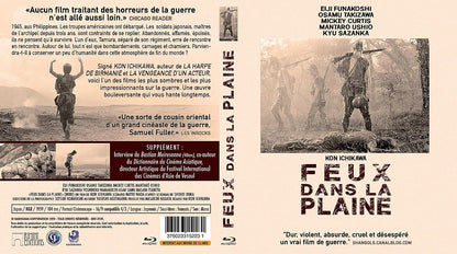 Feux dans la plaine