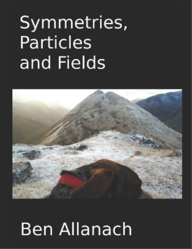 Particles and Fields Symmetries