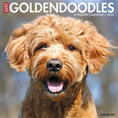 Just Toy & Miniature Poodles 2024 12 X 12 Wall Calendar