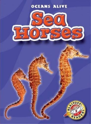 Sea Horses