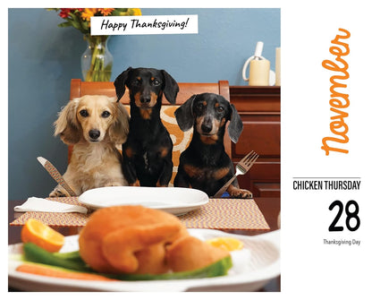 Crusoe the Celebrity Dachshund 2024 6.2 X 5.4 Box Calendar