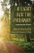 A Light for the Pathway