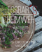 EssBar´s Heimweh