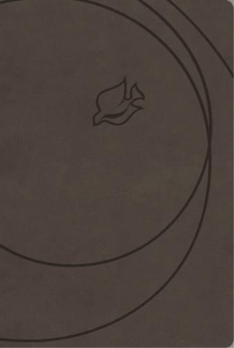 NLT, New Spirit-Filled Life Bible, Leathersoft, Gray