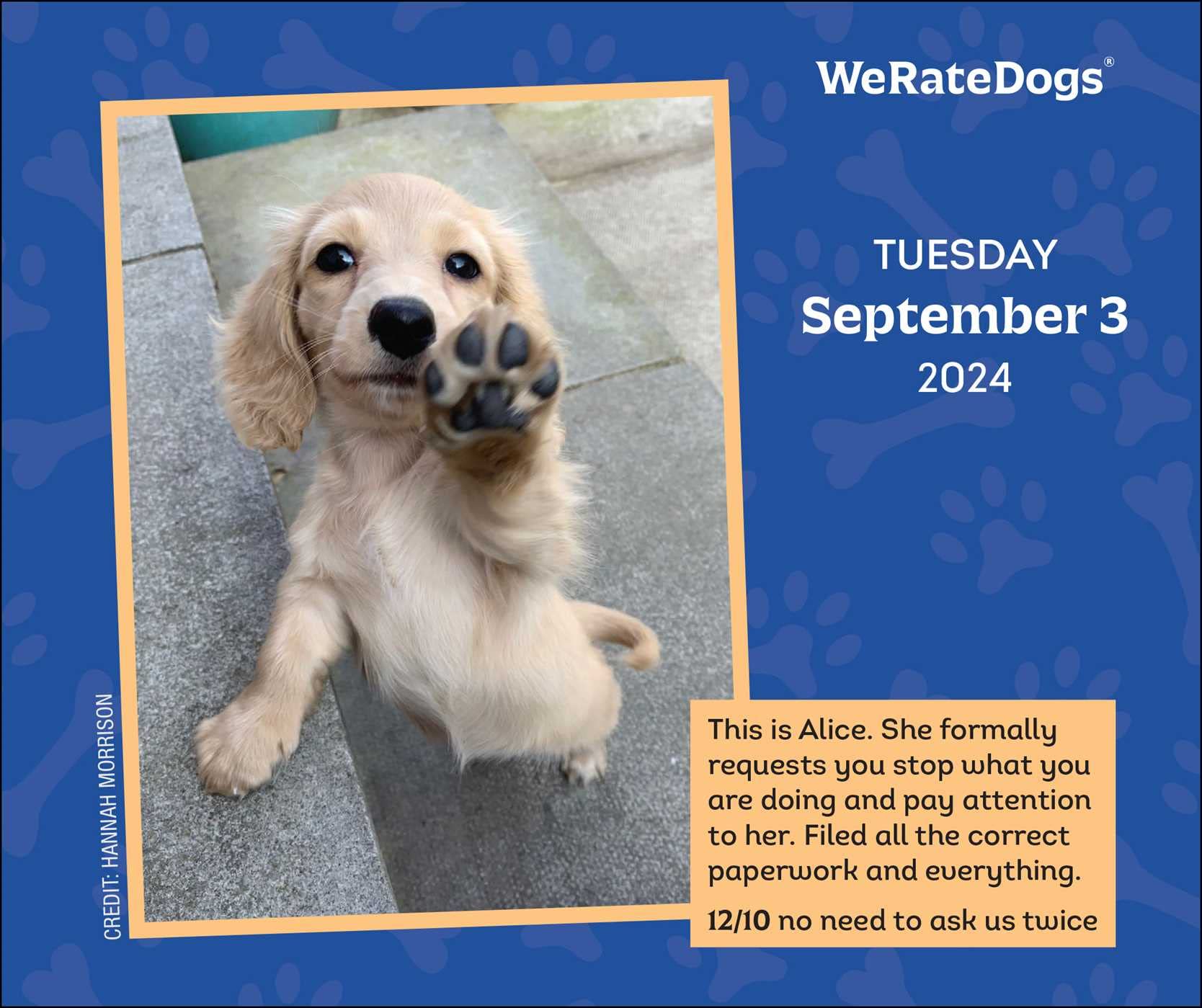 WeRateDogs 2024 Day-to-Day Calendar