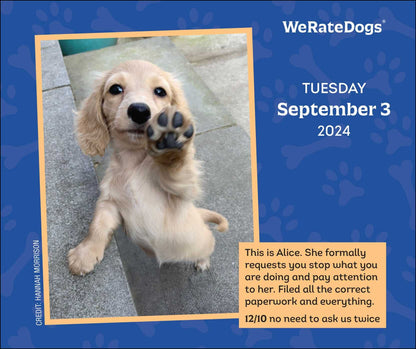 WeRateDogs 2024 Day-to-Day Calendar