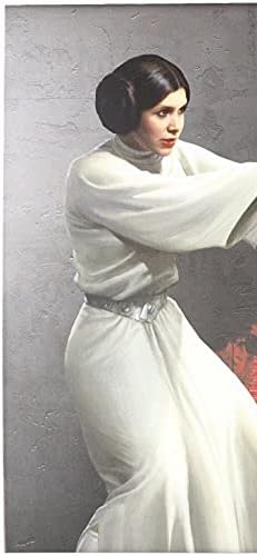 Princess Leia Dice Binder: Star Wars Destiny