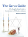 The Gerus Guide - The Step By Step Guide to Conversion to Orthodox Judaism