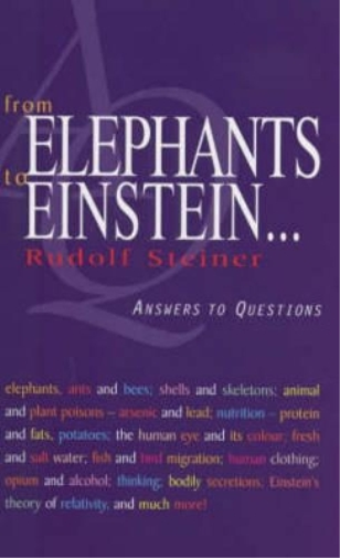 From Elephants to Einstein