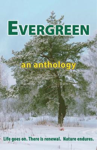 Evergreen