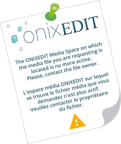 Dragons in the Forest