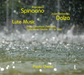 Lute Music from Ottaviano Petrucci's Collections