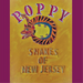 Snakes of New Jersey