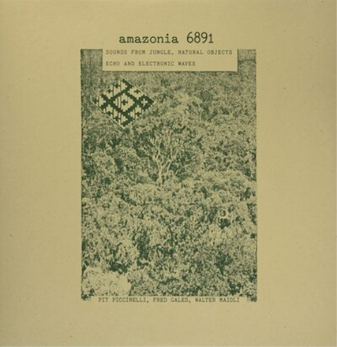 Amazonia 6891: Sounds from Jungle, Natural Objects Echo and Electronic Waves