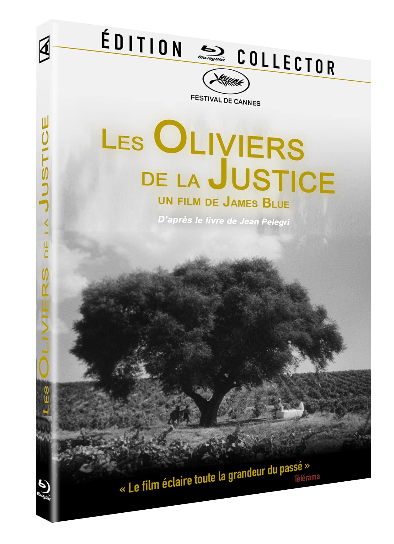 Les oliviers de la justice