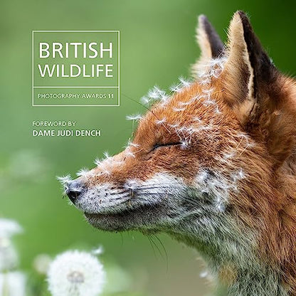British Wildlife Photography Awards 2023