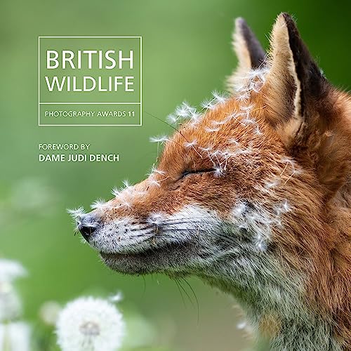 British Wildlife Photography Awards 2023