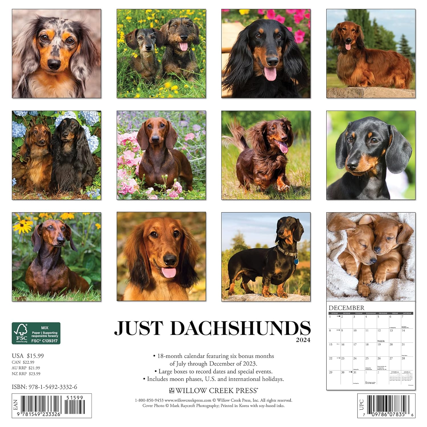 Just Dachshunds 2024 12 X 12 Wall Calendar