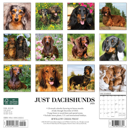 Just Dachshunds 2024 12 X 12 Wall Calendar
