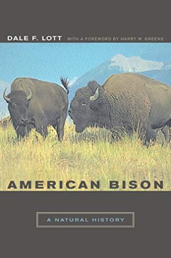 Amer Bison