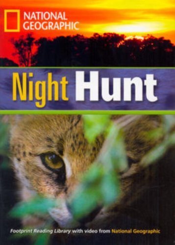 Night Hunt
